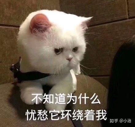 这也没谁了表情包,网络时代的幽默新宠