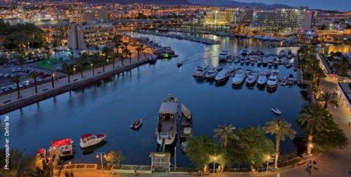 埃拉特娱乐,打造多元化娱乐生态的领军者