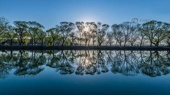 翠堤春晓影片背景,浪漫维也纳的梦幻岁月
